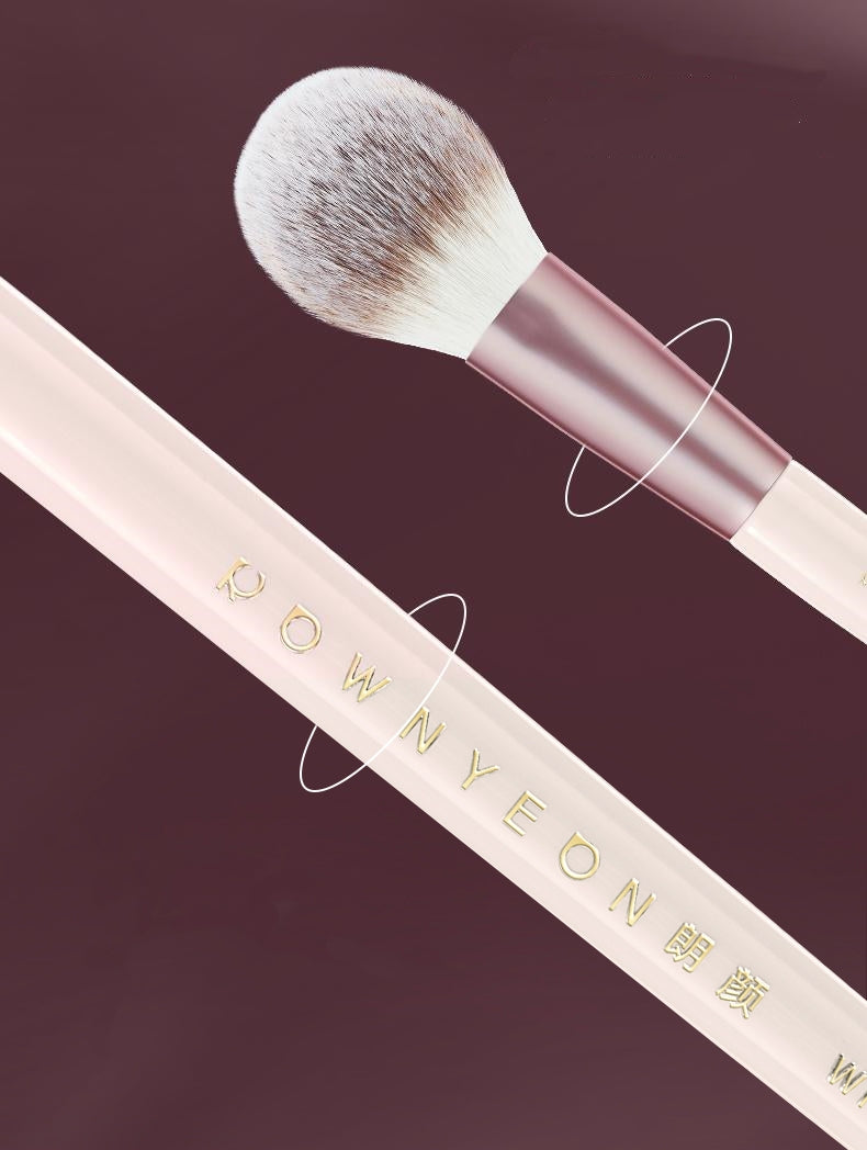 ROWNYEON Mist Peach Professional Makeup Brush 11 Pcs Set T5005