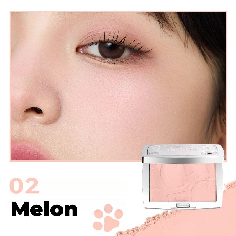 NEIYOU Long-wear Matte Blusher Powder T4566