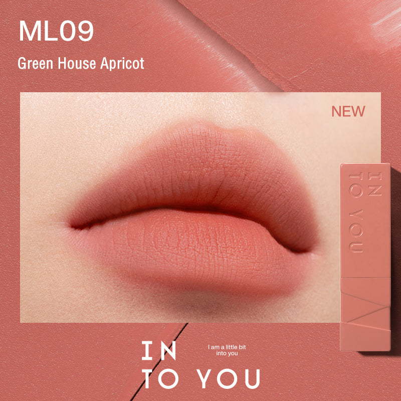 INTO YOU Show Series Velvet Matte Lipstick T3527
