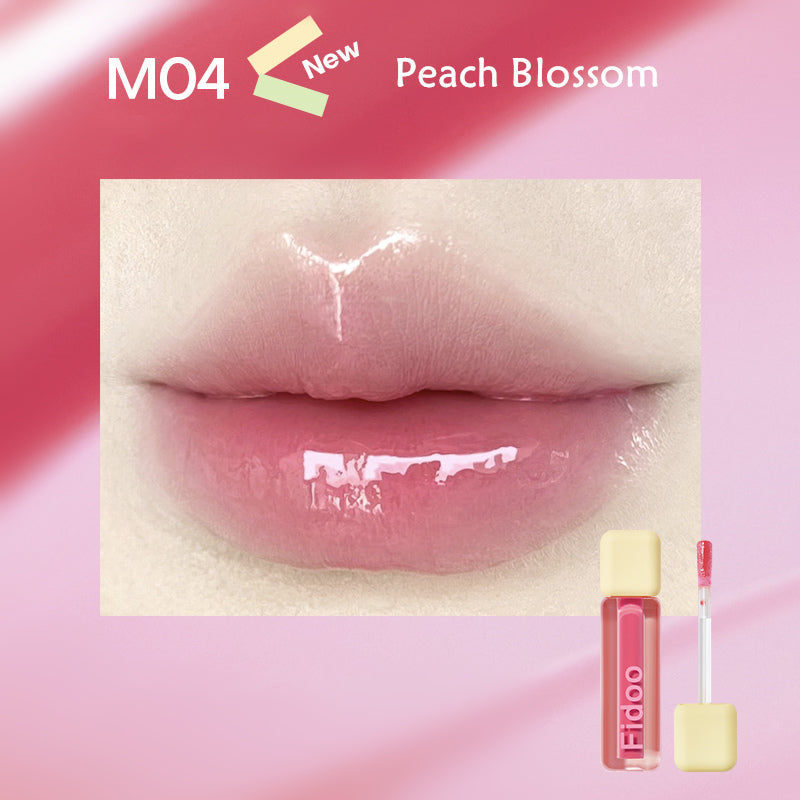 Fidoo Essence Moisturizing Mirror Lip Gloss T3893