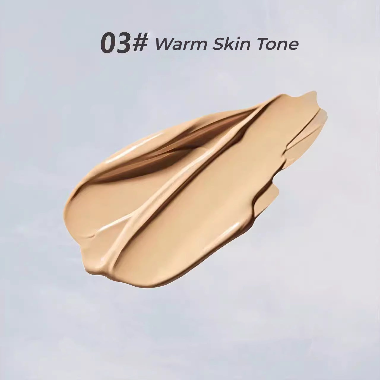 BEINIDAR Long-wear High Coverage Concealer Matte Liquid Foundation T5435