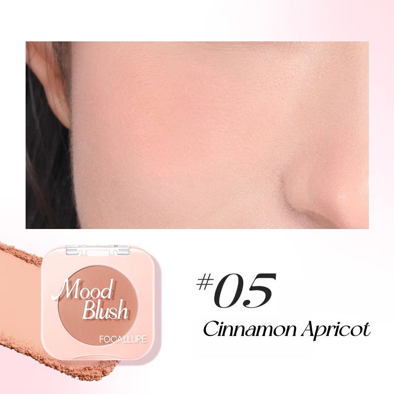 FOCALLURE Long-wear Moist Silky Mood Matte Blusher T5336