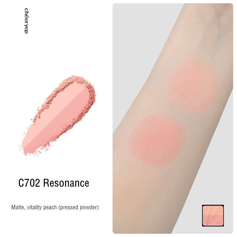 QianYan Fantasy Color Eyeshadow & Highlighter & Blusher DIY Makeup Palette T3995