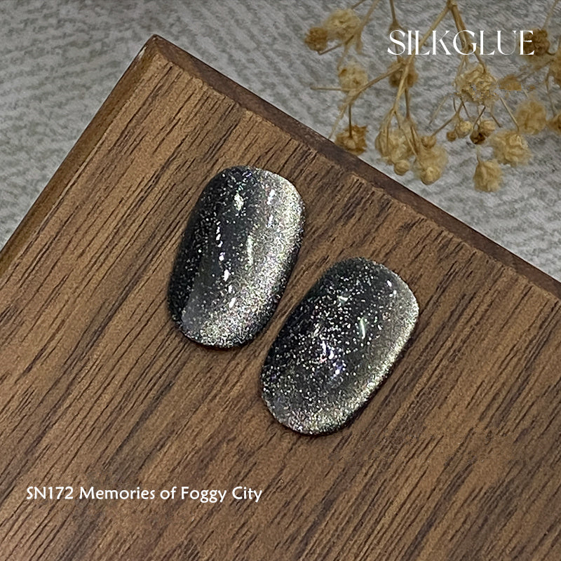 KellyKessa 6g Chasing Light Cat Eye Gel Polish T4062