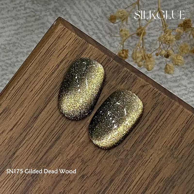 KellyKessa 6g Chasing Light Cat Eye Gel Polish T4062