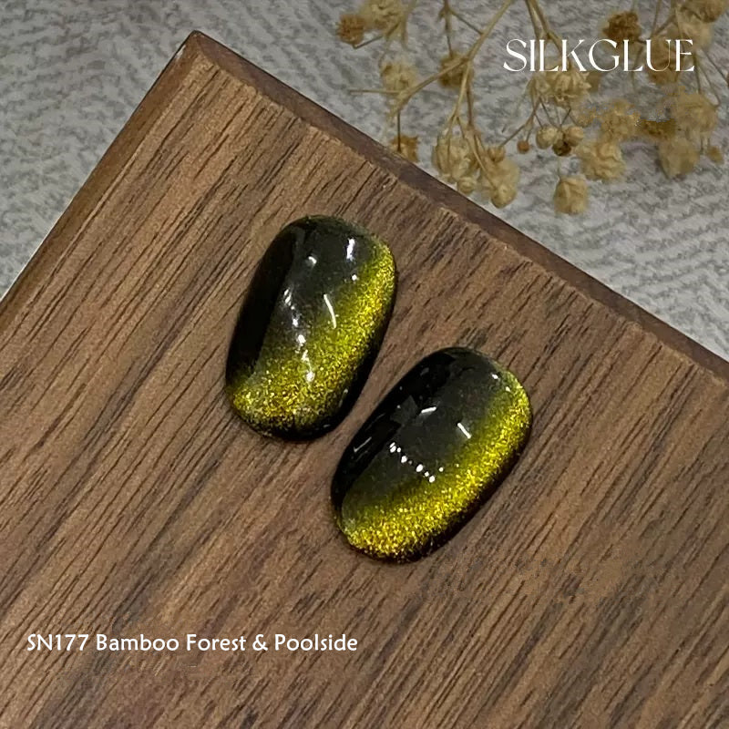 KellyKessa 6g Chasing Light Cat Eye Gel Polish T4062