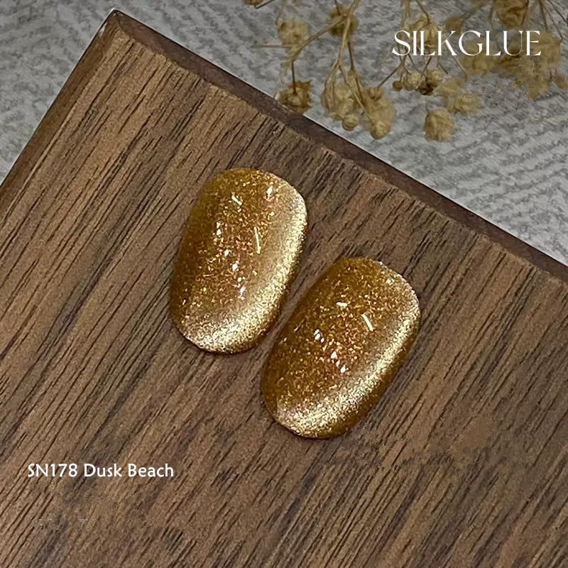 KellyKessa 6g Chasing Light Cat Eye Gel Polish T4062