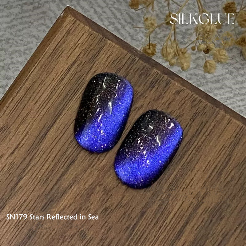 KellyKessa 6g Chasing Light Cat Eye Gel Polish T4062