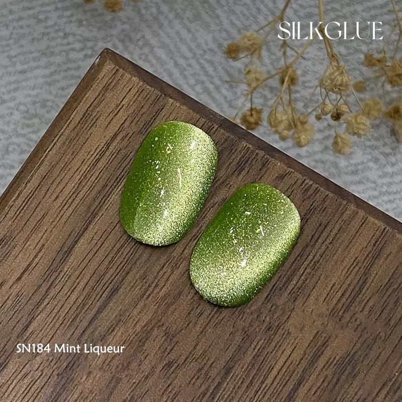 KellyKessa 6g Chasing Light Cat Eye Gel Polish T4062