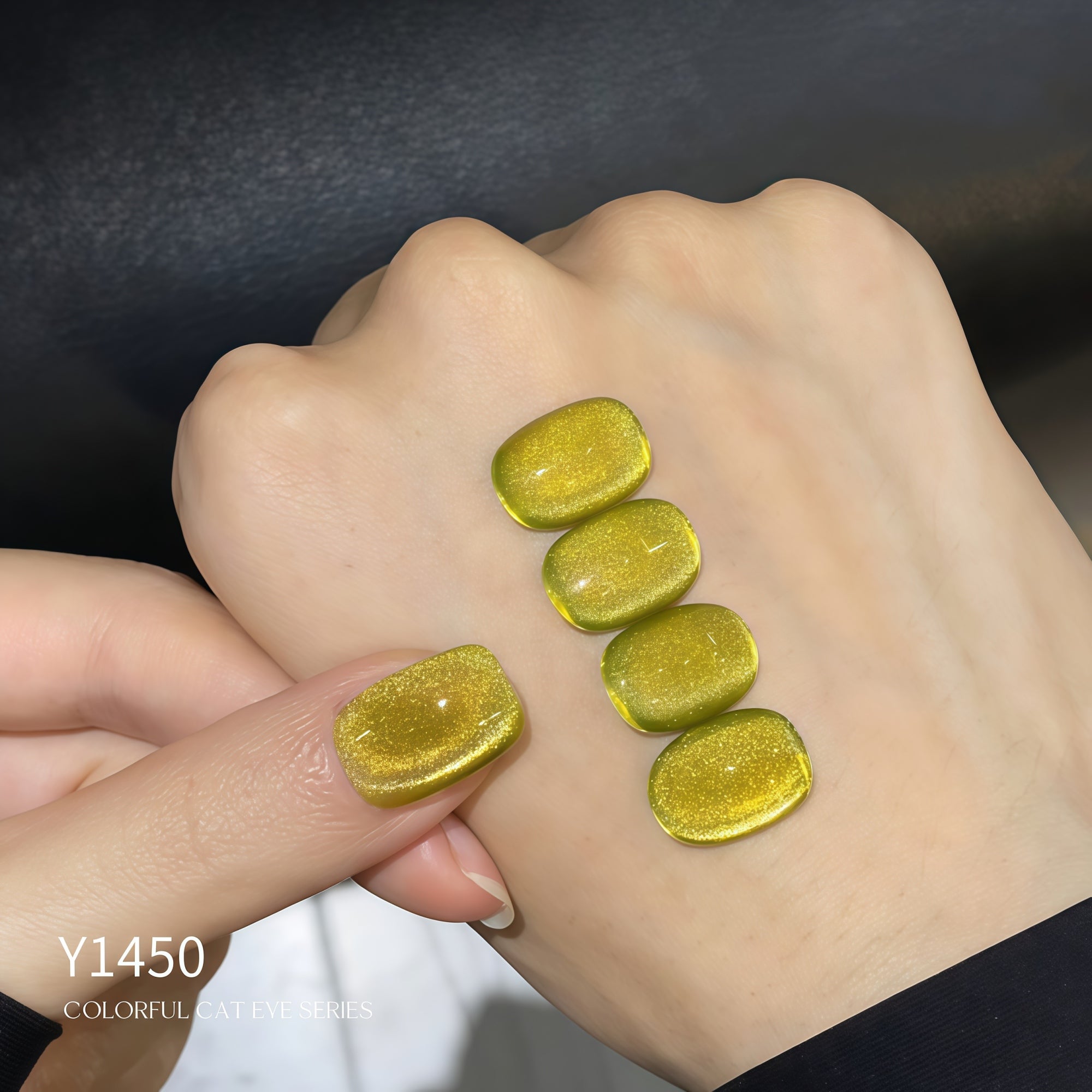 KellyKessa 15ml Secret Forest Cat Eye Gel Polish T5614