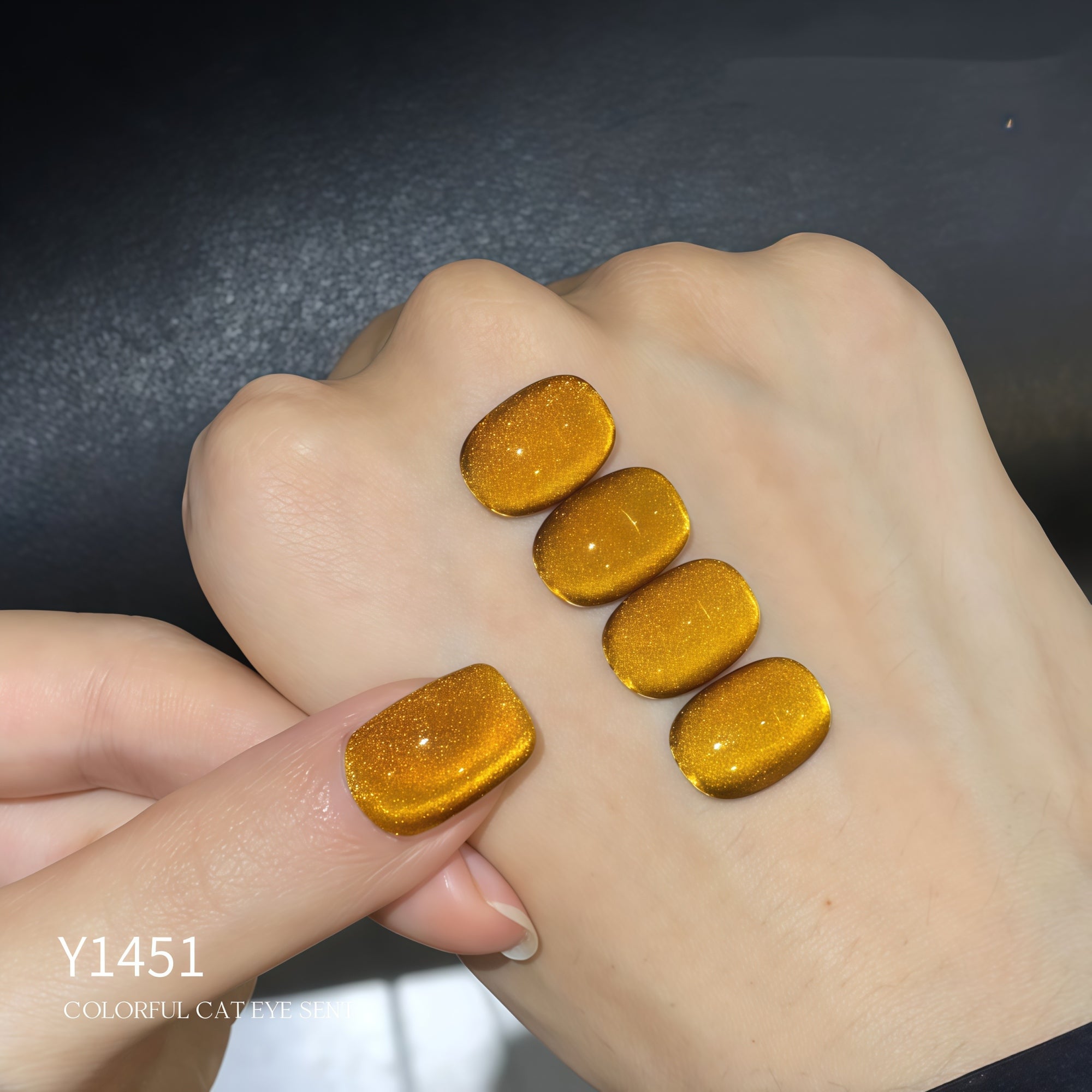 KellyKessa 15ml Secret Forest Cat Eye Gel Polish T5614