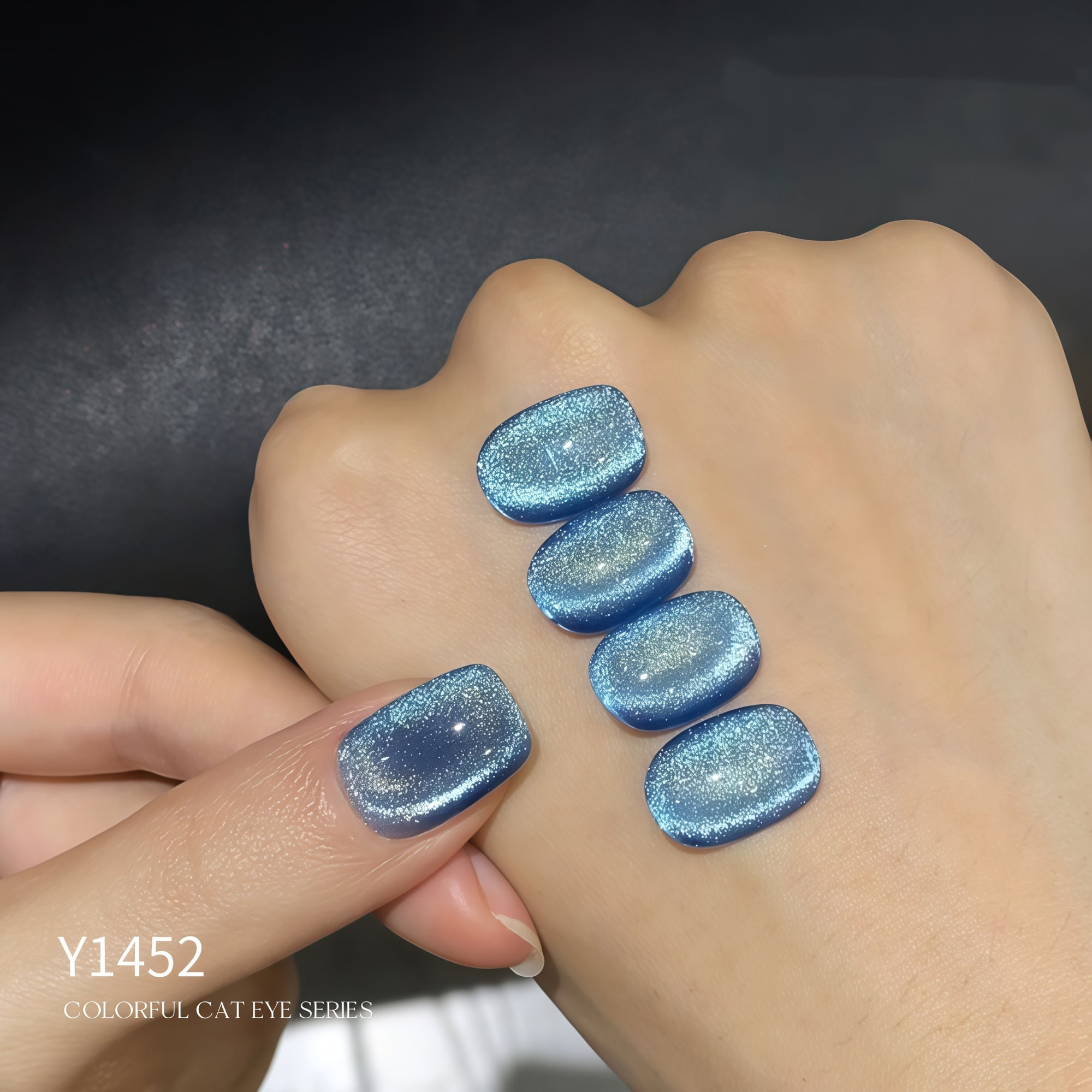 KellyKessa 15ml Secret Forest Cat Eye Gel Polish T5614