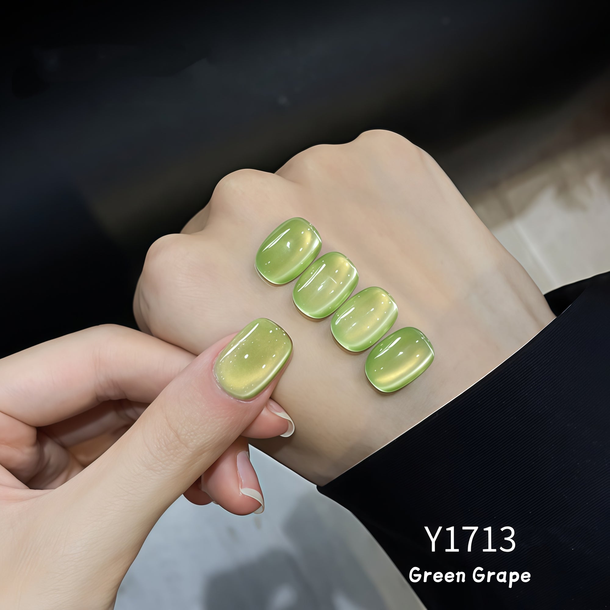 KellyKessa 15ml Summer Fruit Collection Cat Eye Gel Polish T5621