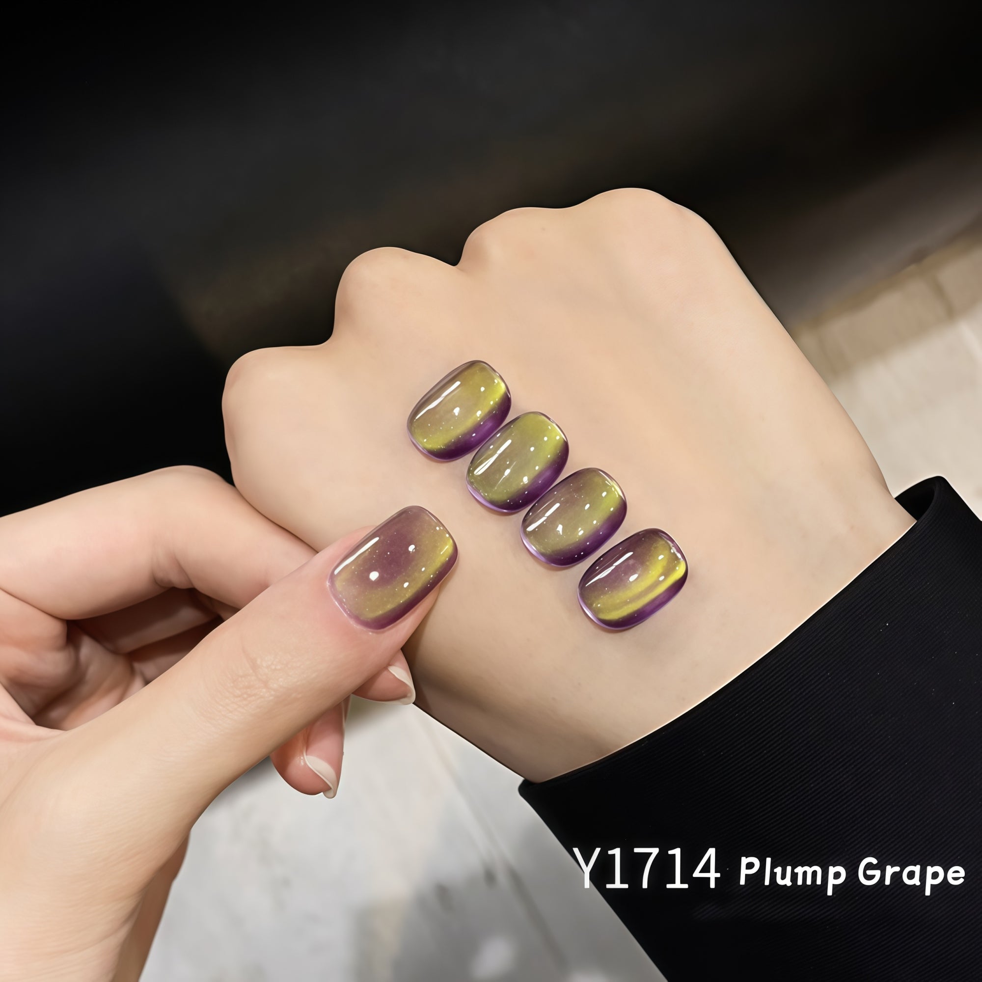 KellyKessa 15ml Summer Fruit Collection Cat Eye Gel Polish T5621