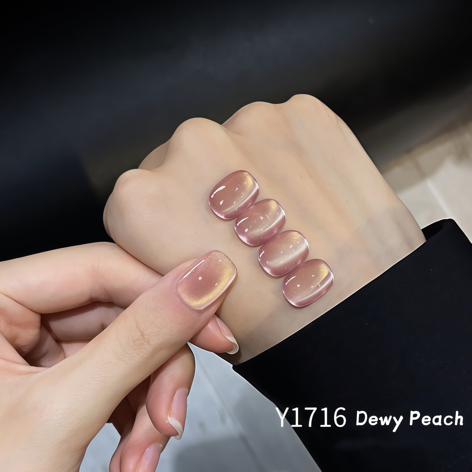 KellyKessa 15ml Summer Fruit Collection Cat Eye Gel Polish T5621