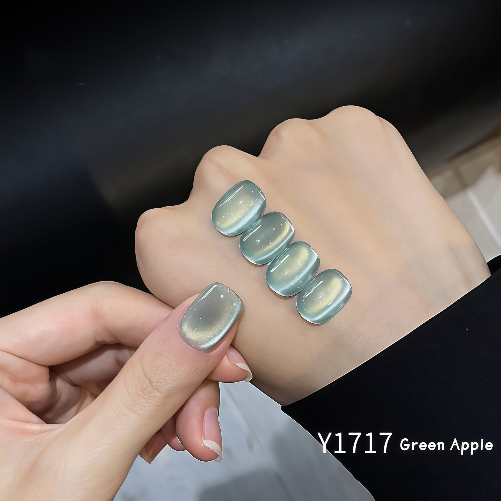 KellyKessa 15ml Summer Fruit Collection Cat Eye Gel Polish T5621