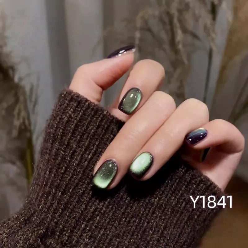 KellyKessa 15ml Sea Of Starbeams Collection Cat Eye Gel Polish T5594