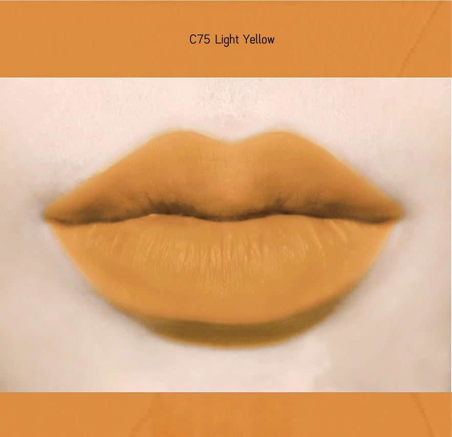 PARPER LAB Architectural Aesthetics Matte Lip Glaze T4835