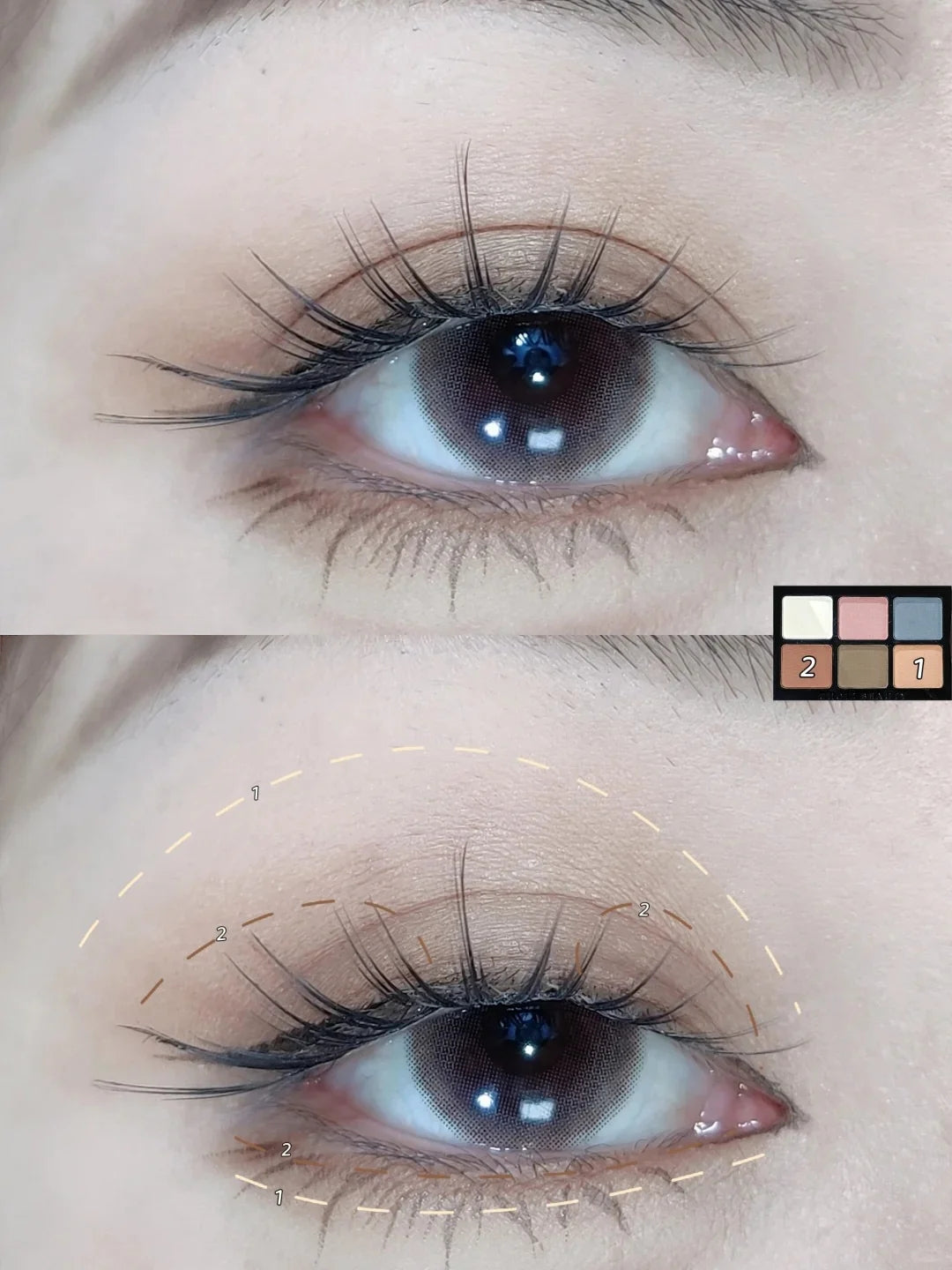 CHOIZ BEAUTY 6-color Five Grains Eyeshadow Makeup Palette T5731