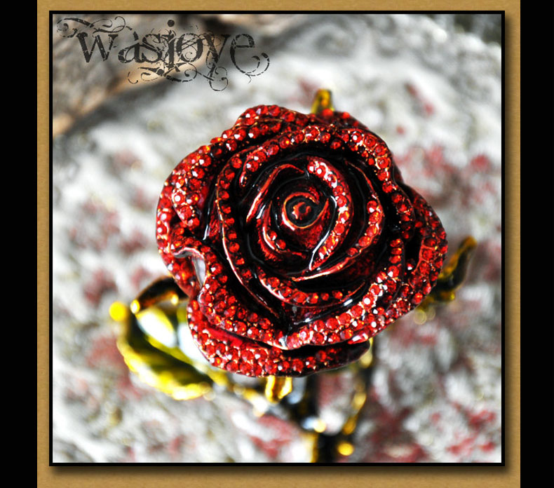 Wasjoye Kathryn Vintage European Princess Handmade Jewelry Box T3229