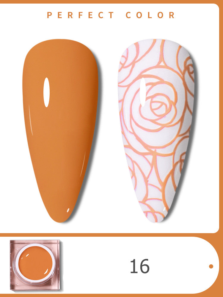 PERFECT COLOR 5g Wash-free Healthy Nail Painting Gel T3215