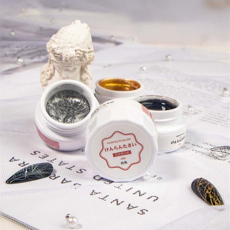 PERFECT COLOR 5g Professional Spider Painting Gel Polish T3209